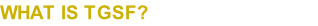 WHAT IS TGSF?
